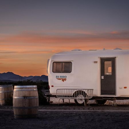 Tarantula Ranch Campground & Vineyard Near Death Valley National Park Amargosa Valley Exteriör bild