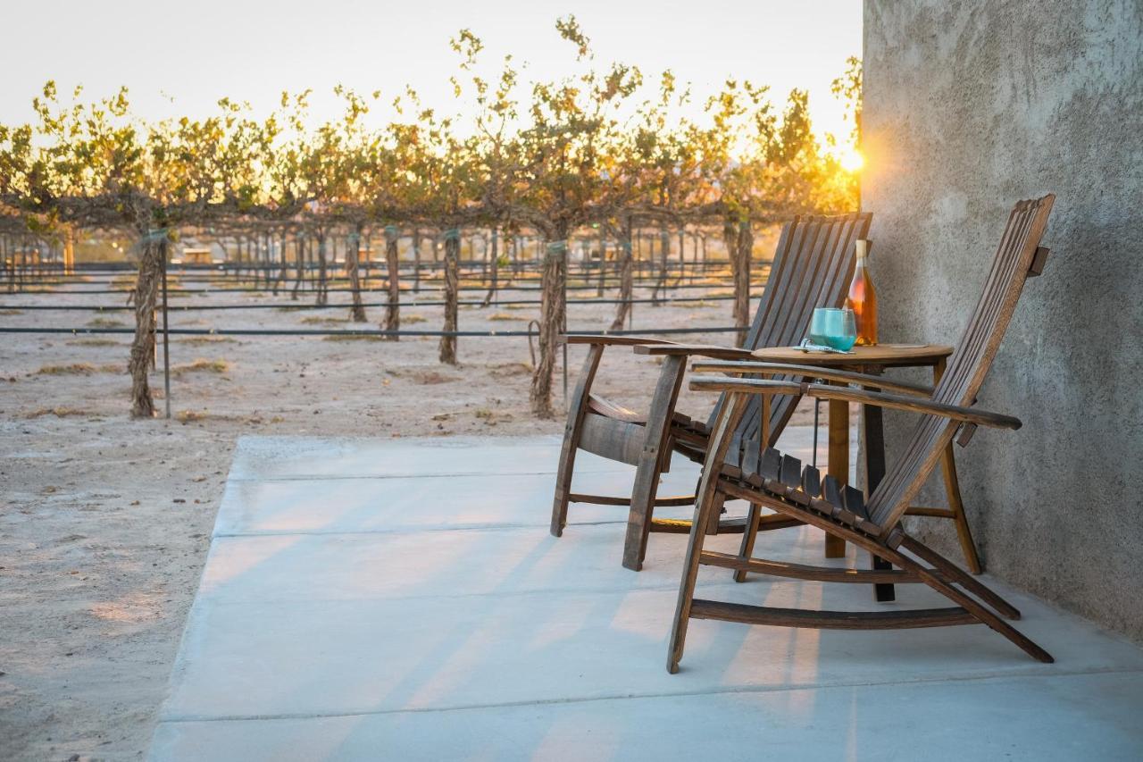 Tarantula Ranch Campground & Vineyard Near Death Valley National Park Amargosa Valley Exteriör bild