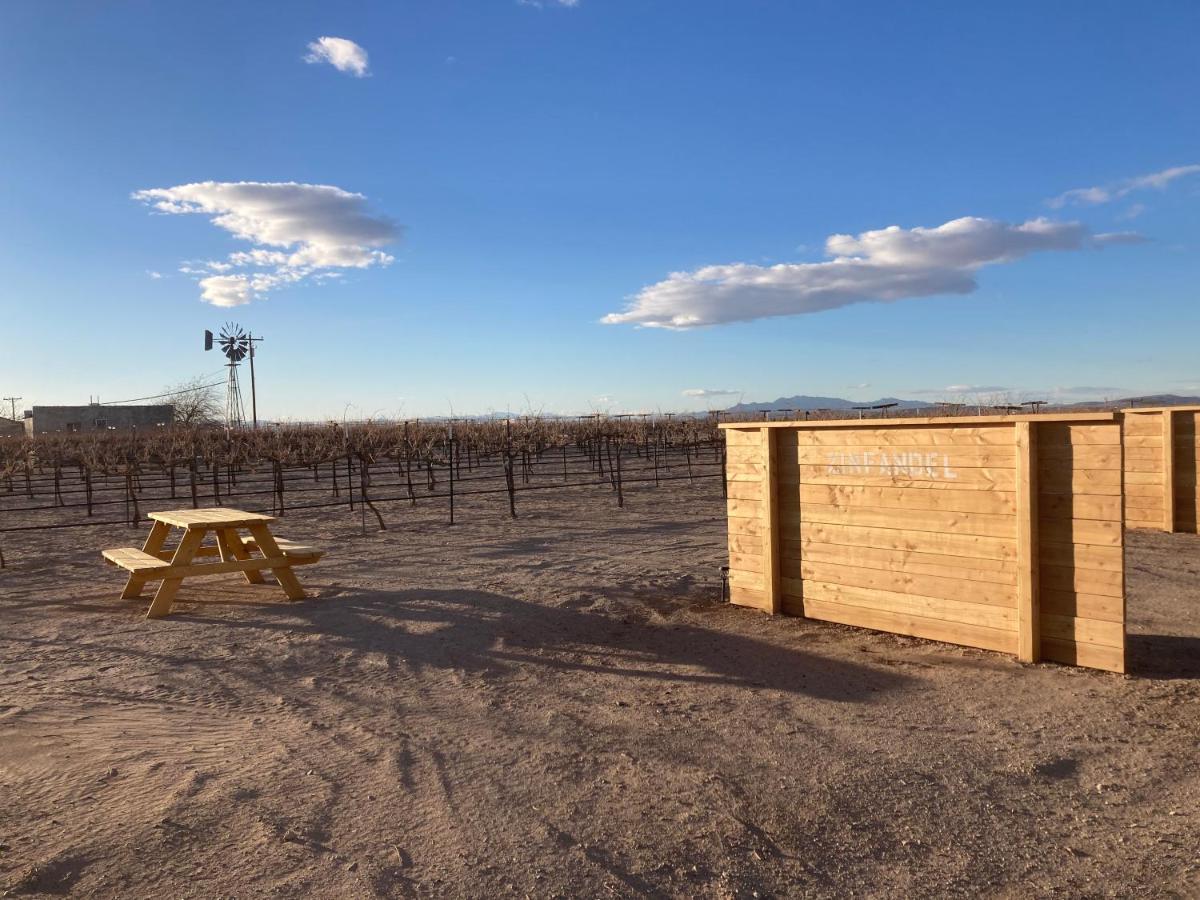 Tarantula Ranch Campground & Vineyard Near Death Valley National Park Amargosa Valley Exteriör bild